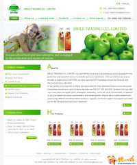 外貿(mào)公司網(wǎng)站開(kāi)發(fā)與設(shè)計(jì) 打造專業(yè)、高效的數(shù)字門戶